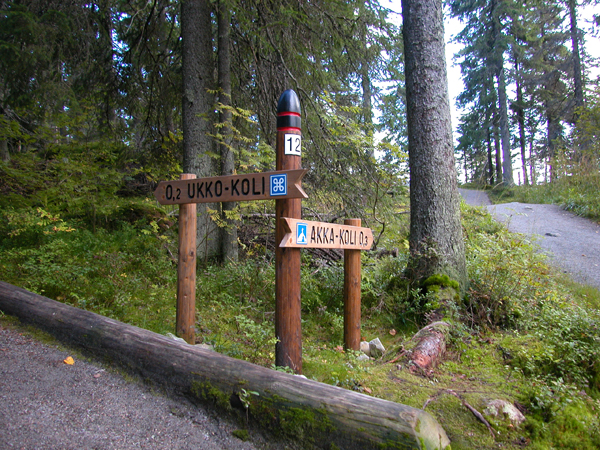 コリ国立公園ハイキングルート フィンツアー スタッフのブログ 北欧専門旅行会社 フィンツアーのオフィスより